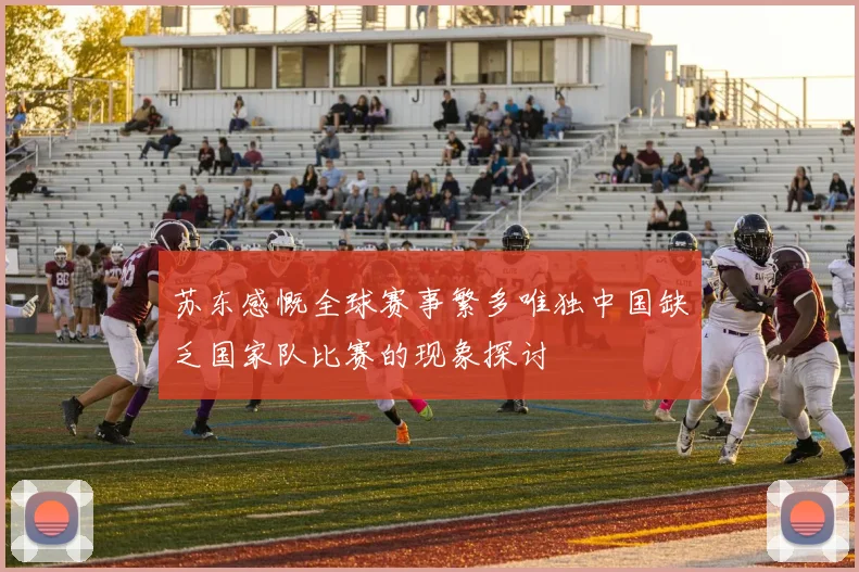 苏东感慨全球赛事繁多唯独中国缺乏国家队比赛的现象探讨